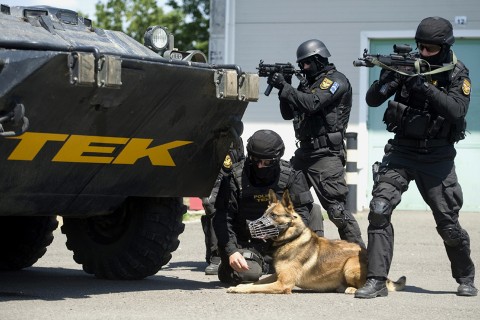 TEK (tek, TEK, terror elhárítás, )