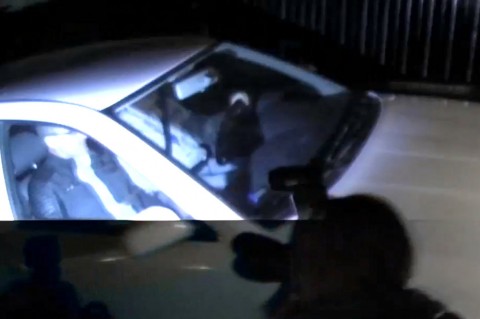 Tarsolyt elviszik (tarsoly csaba)