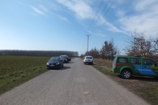 állatkínzás ibrányban (állatkínzás ibrányban)