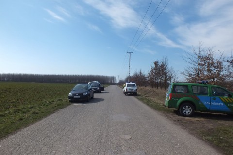 állatkínzás ibrányban (állatkínzás ibrányban)