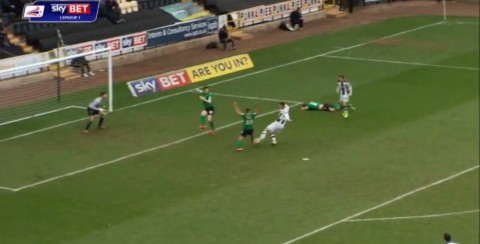 bajner bálint (bajner bálint)