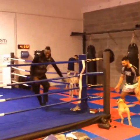 balotelli (balotelli)