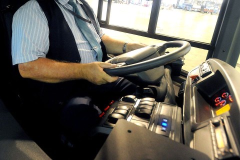 bkv busz sofőr (bkv, buszsofőr, )