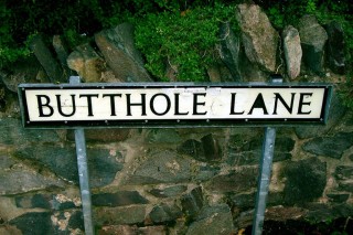 butthole lane (butthole lane)