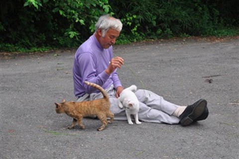 fukushima(2)(960x640).jpg (fukushima, )