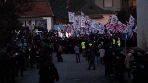 gyöngyöspata (gyöngyöspata)