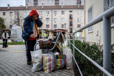 hajléktalan (hajléktalan, )