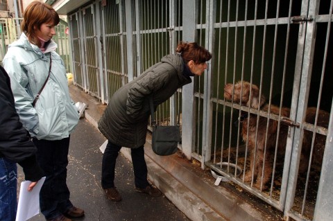 illatos út (illatos út)