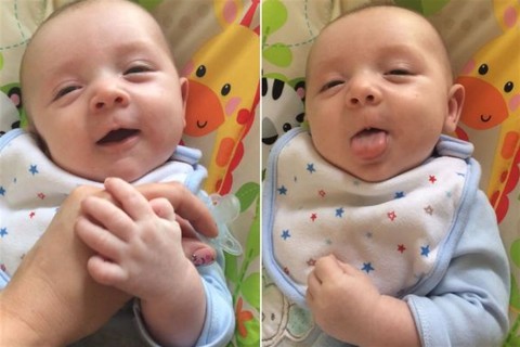 kisbaba(960x640).jpg (baba, )