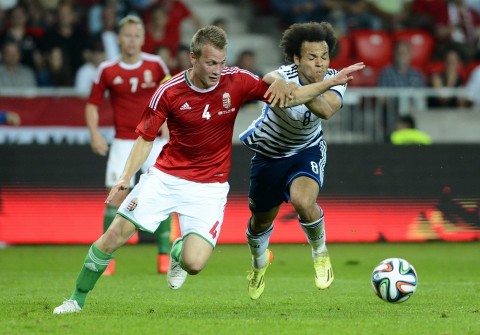 lang ádám (lang ádám)