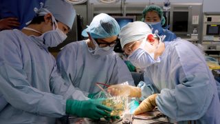 nyomtatott szerv 1 (nyomtatás, 3d nyomtatás, bionyomtatás, biológia, technológia, tudomány, forgács gábor, szerv, szervnyomtatás, implantátum, implantátum, beültetés, donor, )