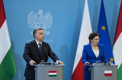 orbán_kopacz (orbán_kopacz)