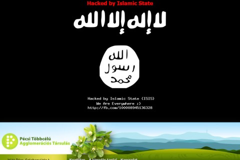 pécsi kistérségi társulás (pécsi kistérségi társulás)