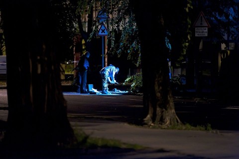 tuzszereszek(960x640).jpg (tűzszerészek)