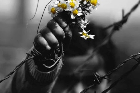 vers illusztráció (vers illusztráció)