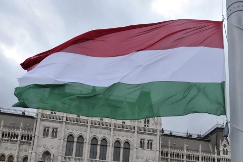 zászlófelvonás (zászlófelvonás)