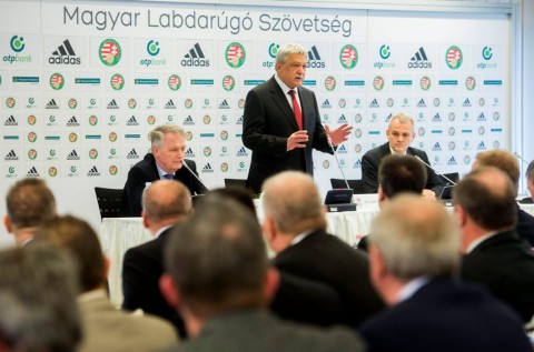 Csányi Sándor (csányi sándor, )