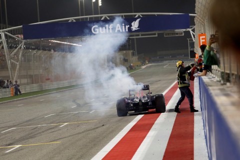 Daniel Ricciardo (daniel ricciardo, )