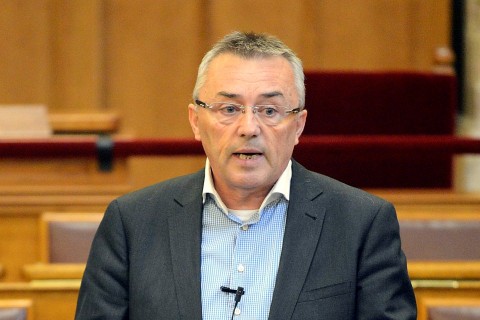 Hargitai János (Hargitai János)