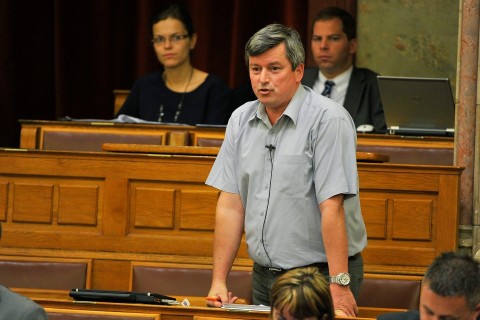 Pósán László (Pósán László)