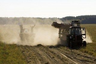 betakarítás fehéroroszországban (traktor, mezőgazdaság, fehéroroszország, )