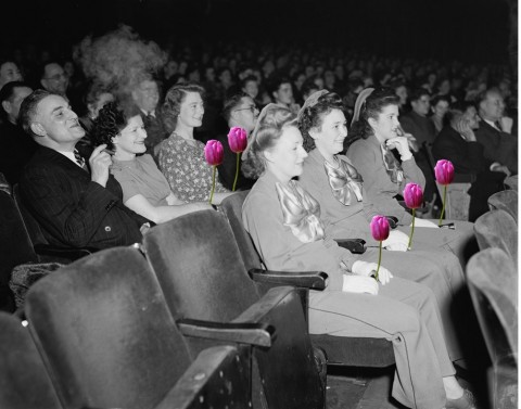 cinema-nonap(960x640).jpg (cinema, mozi, nőnap)