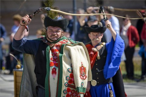 csergetés (csergetés)