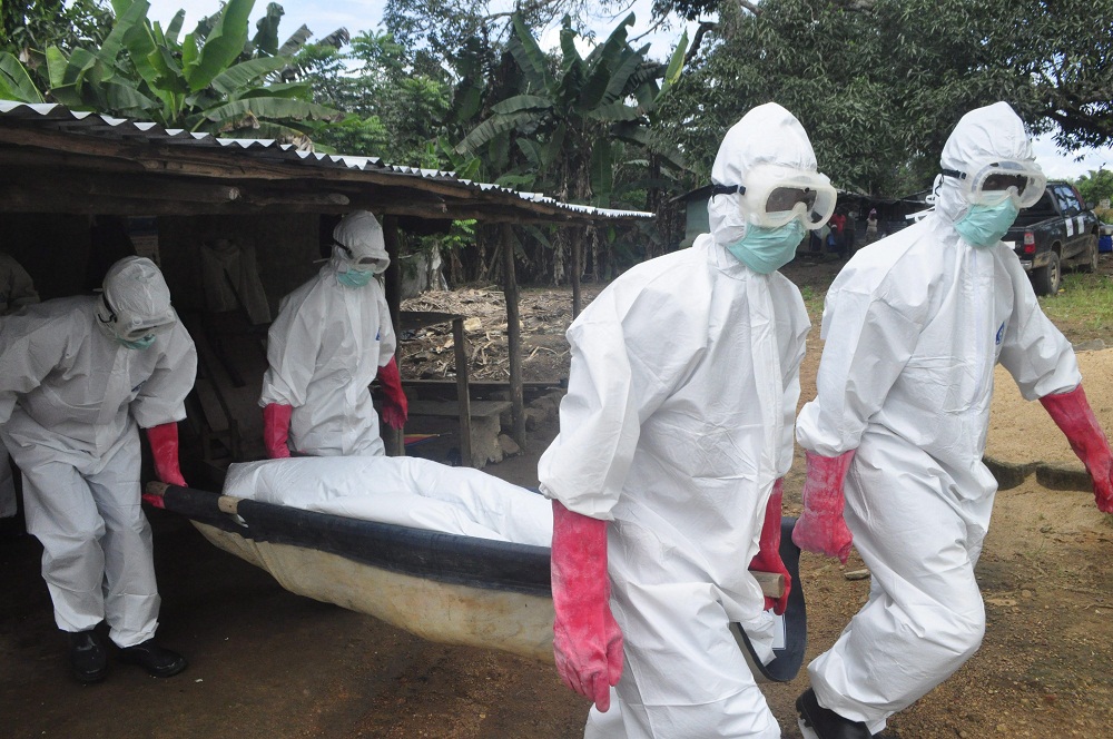 ebola(960x640).jpg (ebola)