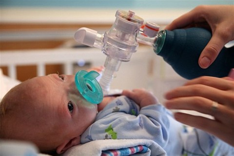 eli(960x640).jpg (orrhiány)