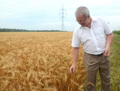 fazekas sándor (fazekas sándor, )