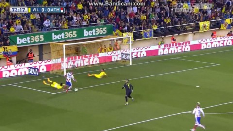 fernando torres (fernando torres)