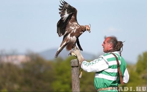 fradi-sas (fradi-sas)