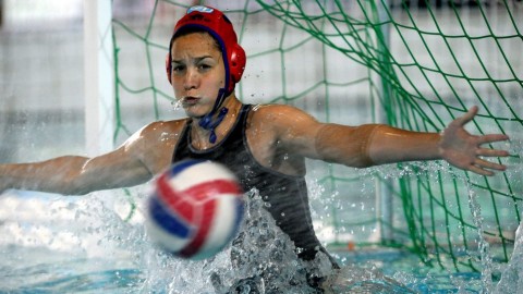 gangl edina (gangl edina, )