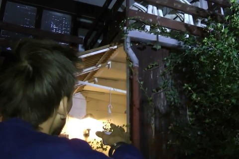 gyilkossag-a-XII(960x640).jpg (budai gyilkos)