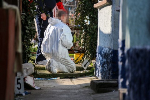 helyszínelés (helyszínelés)