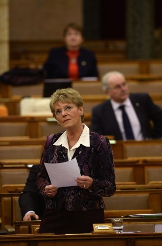 hoffmann rózsa (hoffmann rózsa)