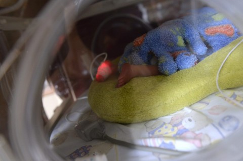 inkubátor (inkubátor)