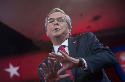 jeb bush (jeb bush)