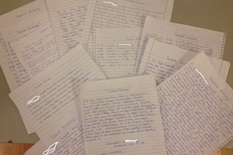 kaya elif levelek (kaya elif)