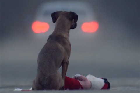 kutya(960x640).jpg (kutya, )