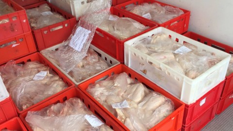 lefoglalt hús (lefoglalt hús)