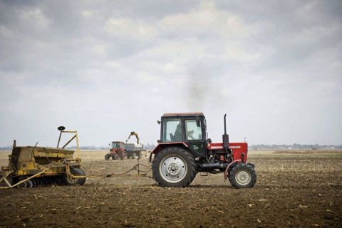 mezogazdasag(210x140).jpg (mezőgazdaság)