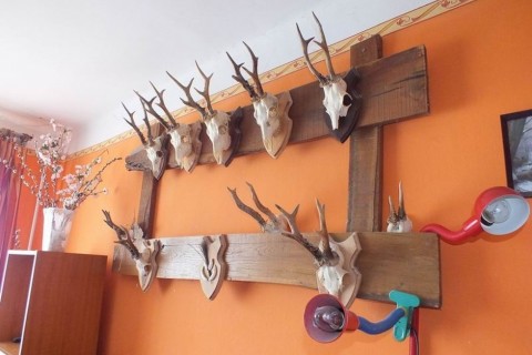 orvvadász (orvvadástz)