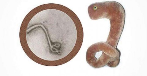 plüssebola (játék, plüss, ebola, )