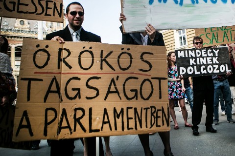 politikus tüntetés (politikus tüntetés)