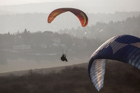 siklóernyő (siklóernyő)