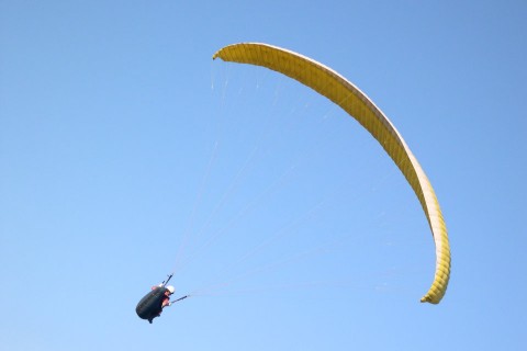 siklóernyős (siklóernyős)