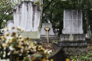 temeto(210x140).jpg (temető, parcella, szociális temetés, )