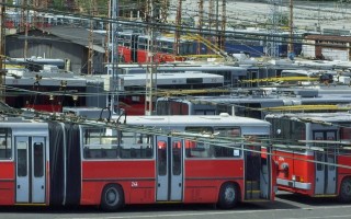 troli(960x640).jpg (troli)