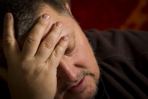 vidnyanszky-attila(960x640).jpg (vidnyánszky)